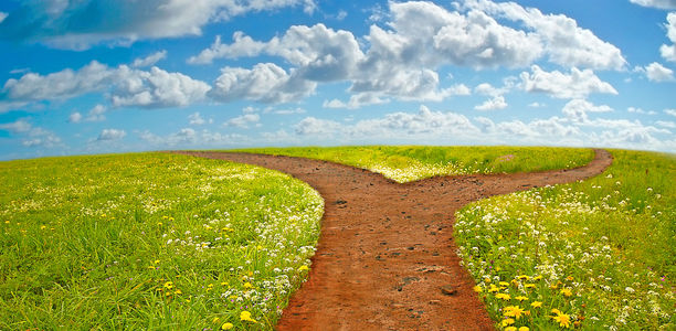 Bild zu BCSE an der Charité:  - Neue Wege für Kinder mit seltenen Erkrankungen