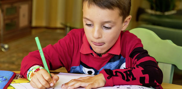 Bild zu Entwicklungsstörungen - UEMF: Definition, Diagnose, Ätiologie und Verlauf