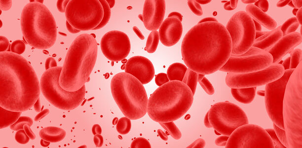 Bild zu Wann Thrombozytengabe? - Thrombozytopenie bei Frühgeborenen