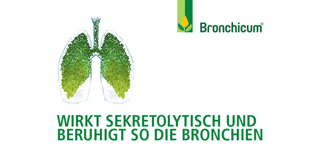 Bild zu ANZEIGE - Thymian und Primel: Sekretolytisch und so bronchienberuhigend