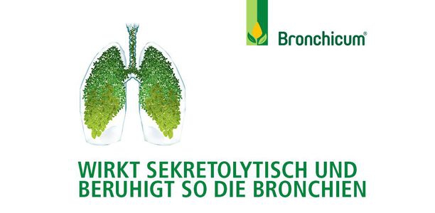 Bild zu ANZEIGE - Thymian und Primel: Sekretolytisch und so bronchienberuhigend