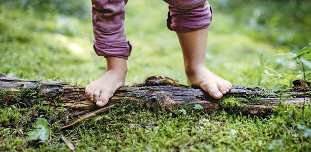 Bild zu Hypophosphatasie - Eine seltene Knochenstoffwechselstörung erkennen und behandeln