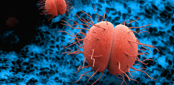 Bild zu Studie - Schutz vor Gonorrhö durch Meningokokken-B-Impfung (4CMenB)?