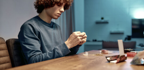 Bild zu Juveniler Cannabis-Gebrauch - Welche Rolle spielen Umweltfaktoren?