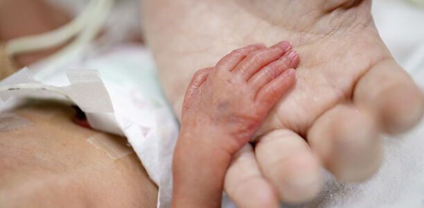 Bild zu Maternale Immunisierung mit  RSV-Impfstoff - Studienabbruch wegen erhöhtem Frühgeburtlichkeitsrisiko