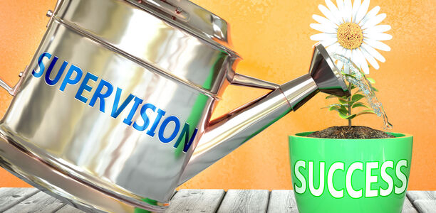 Bild zu Der persönliche Blick - … und jetzt auch noch Supervision?