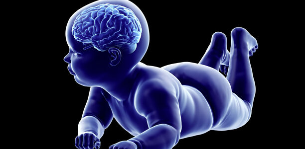 Bild zu Multizentrische Studie - Pränatale Opioid-Exposition und postnatales Hirnwachstum