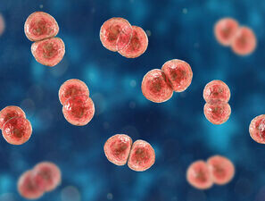 Bild zu Atemwegserkrankung Pneumokokken - Was gibt’s Neues bezüglich der Impfungen?